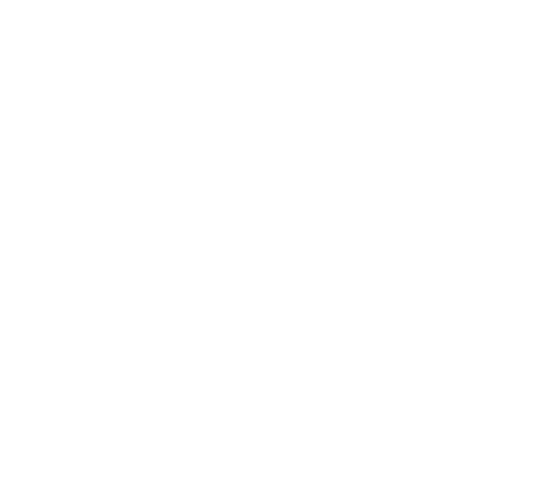 Streamlined and scalable operations icon