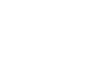 Voice Icon