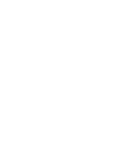Inclusive access icon