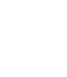 Lower cost icon